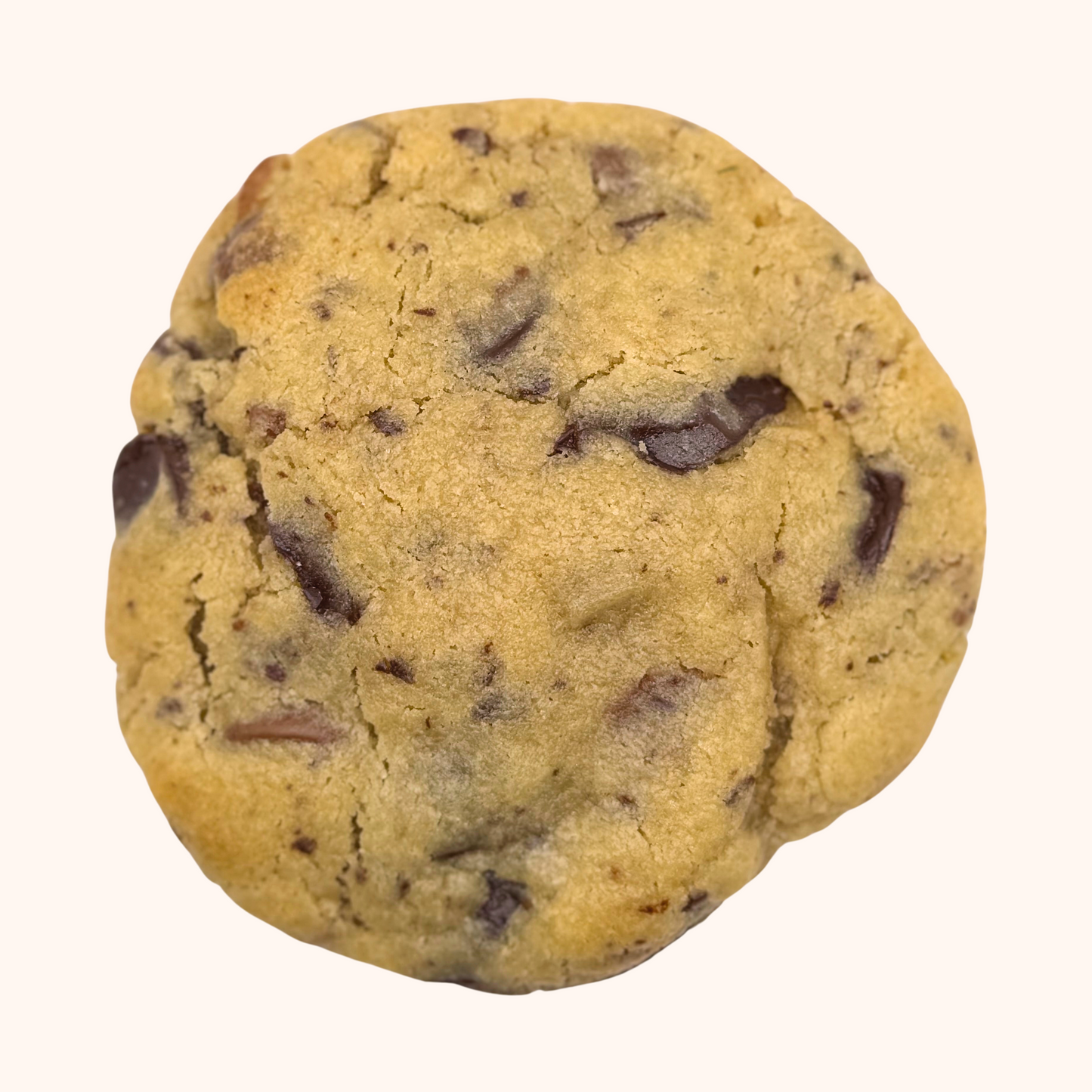 Chocolate Chip