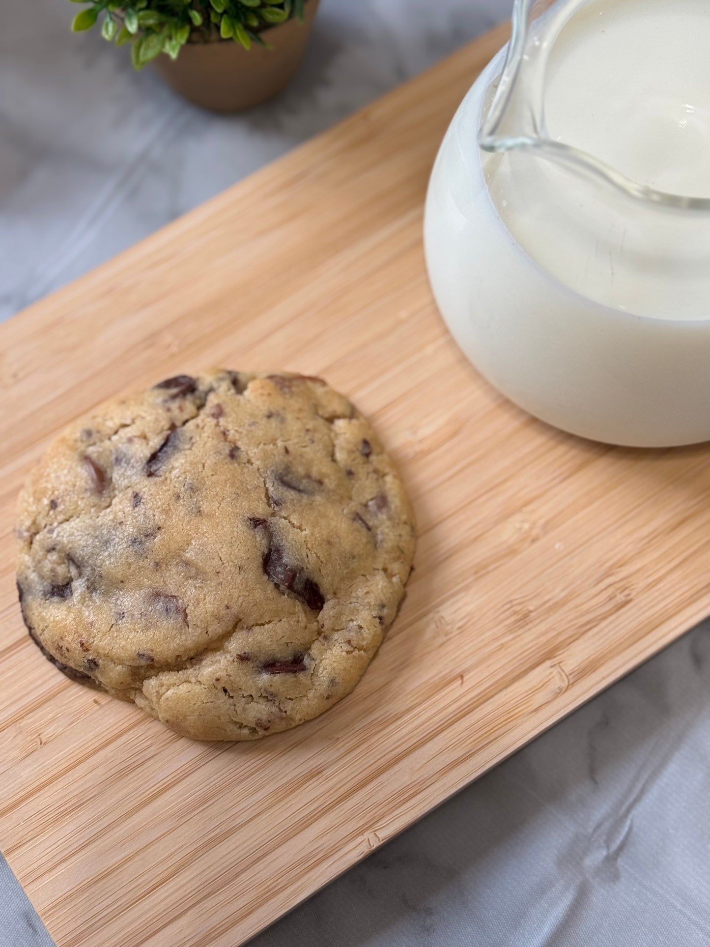 Chocolate Chip